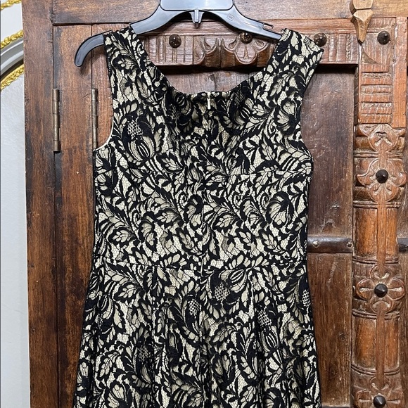 Anthropologie Mirror of Venus Retro 50s Pinup wedding guest Lace Dress Size 6 - Picture 6 of 7